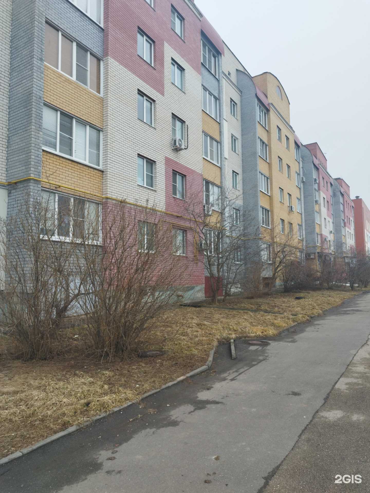 Отзывы на компанию Непоседы в Кстове c фото - фотография 2 из 2