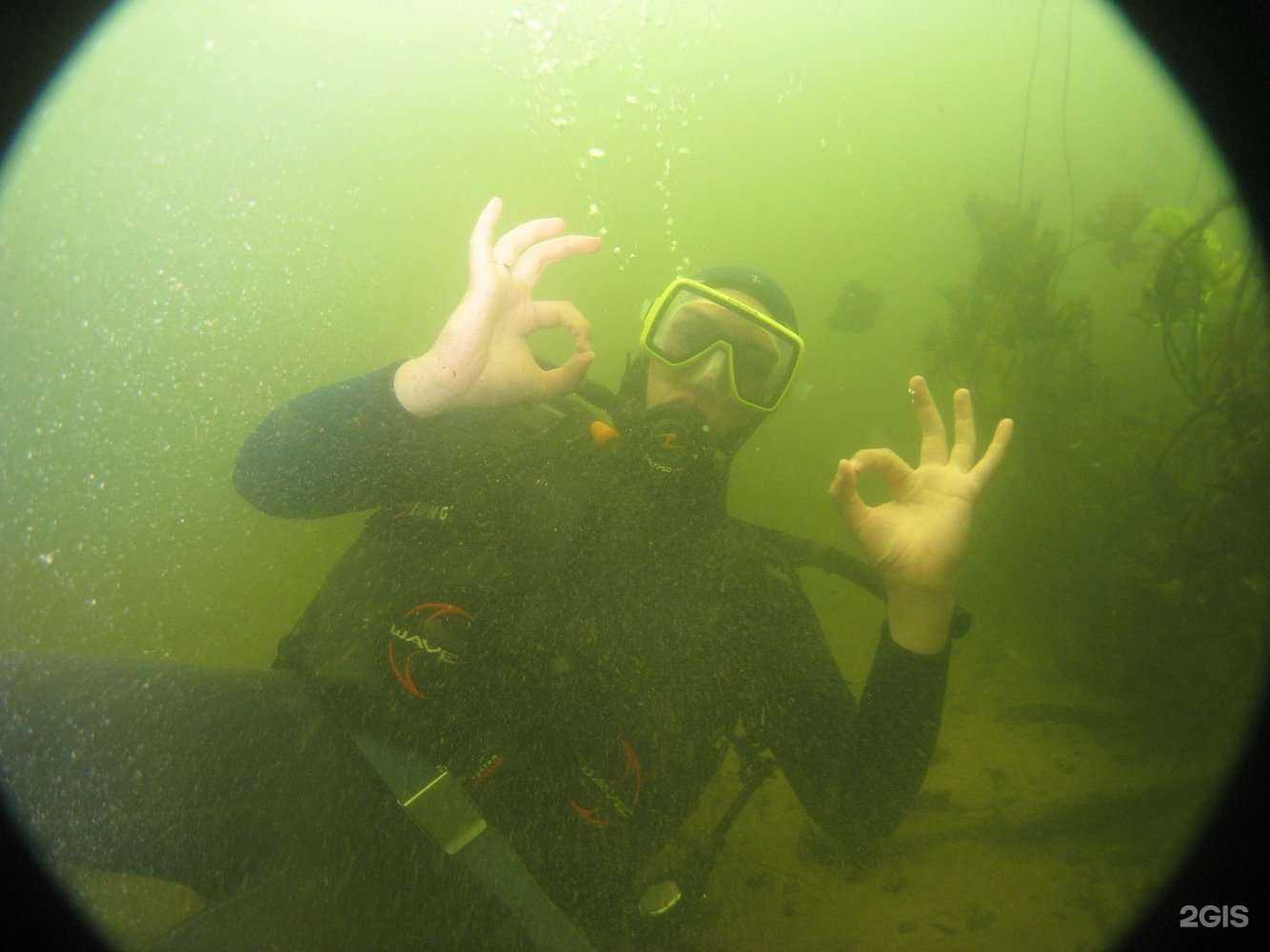 Отзывы на компанию 200Bar в г. Воронеж c фото