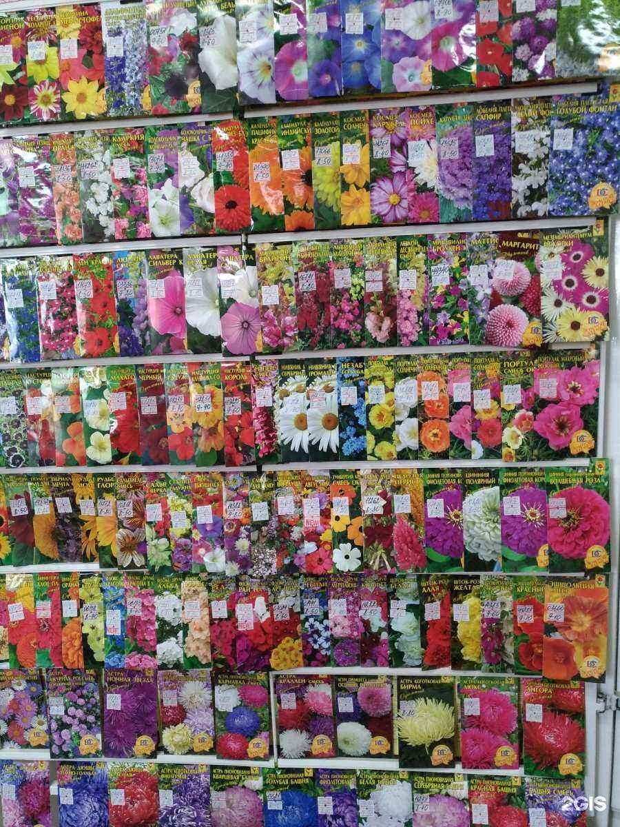 Отзывы на компанию Деметра-Сибирь в Барнауле c фото