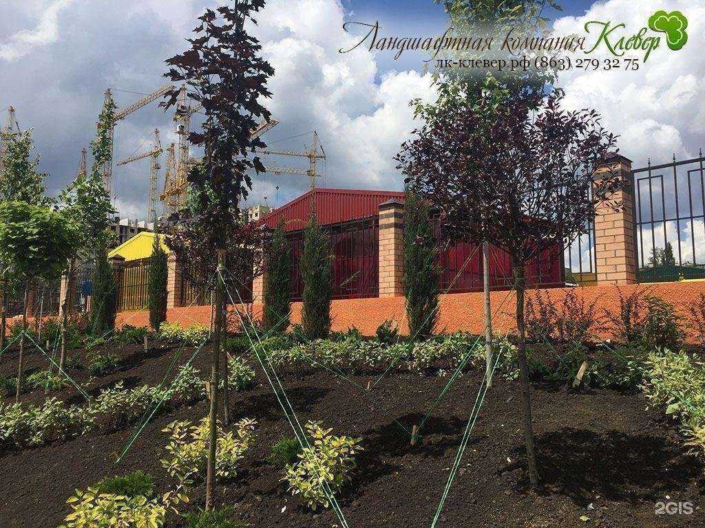 Отзывы на компанию Клевер в Ростове-на-Дону c фото