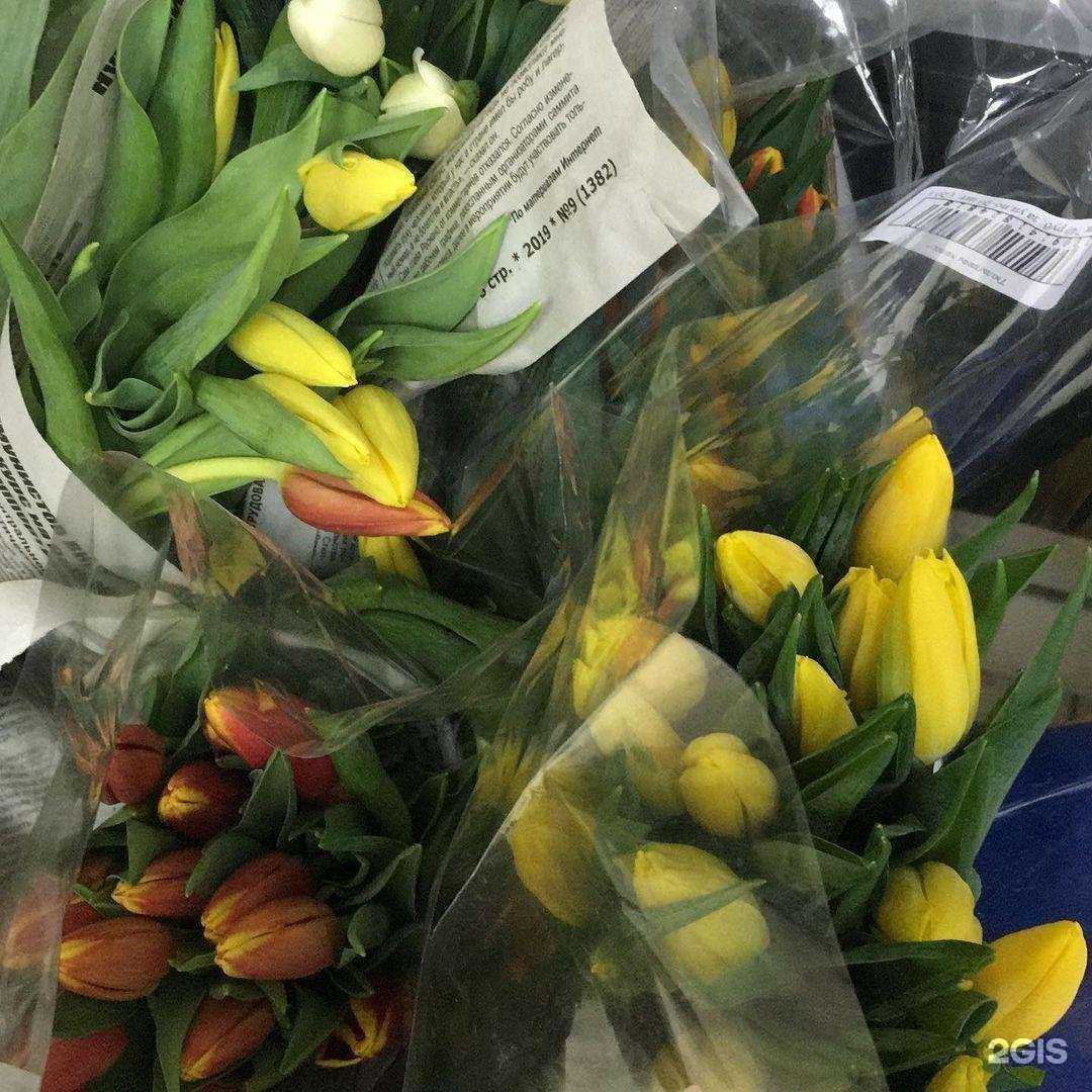 Отзывы на компанию Marilyn в Тюмени c фото