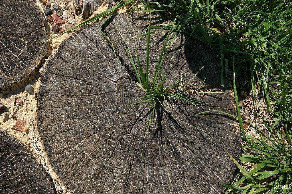 Отзывы на компанию ЕльНик в г. Оренбург c фото