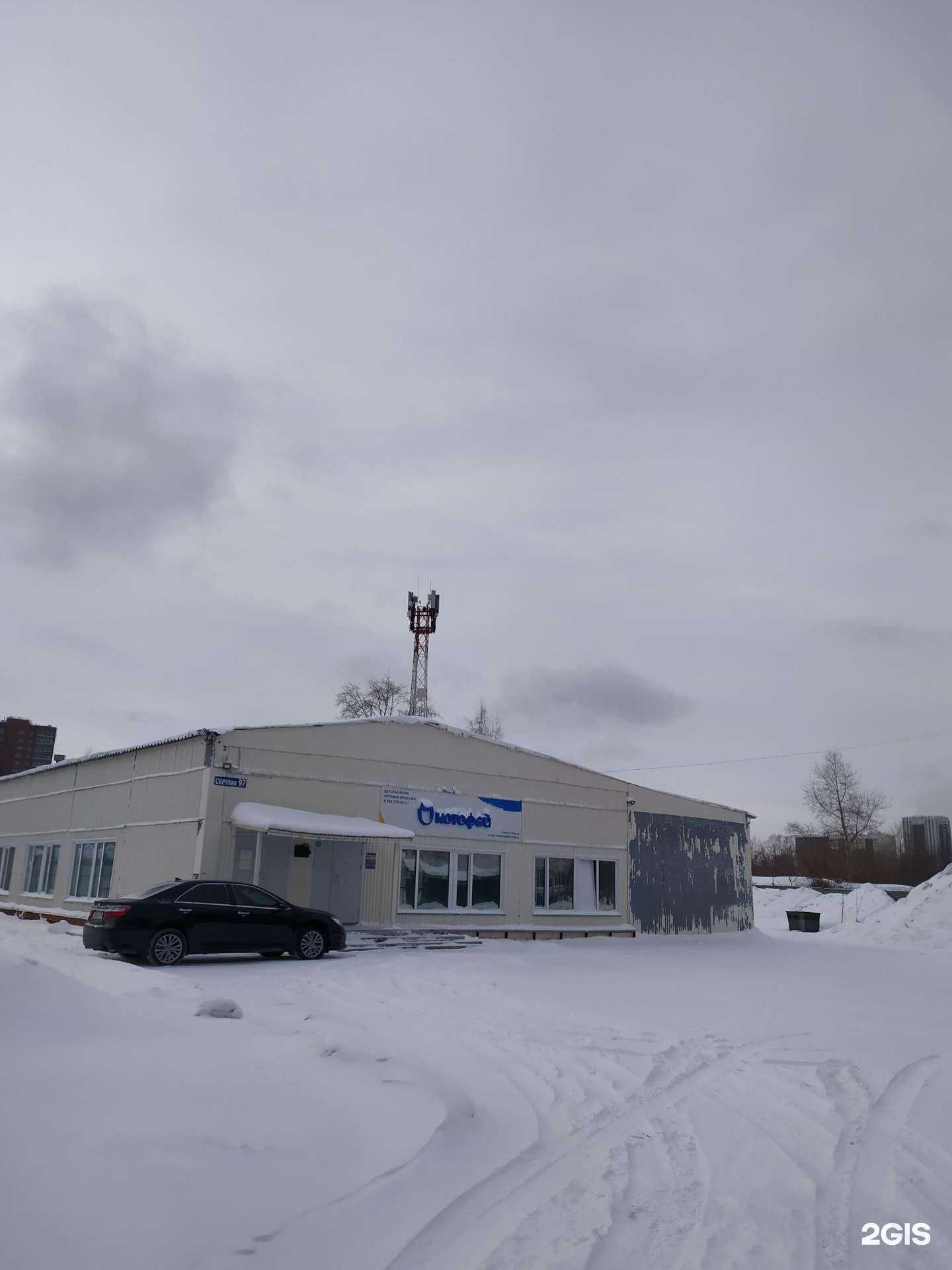 Отзывы на компанию Котофей в Новосибирске c фото - фотография 2 из 2