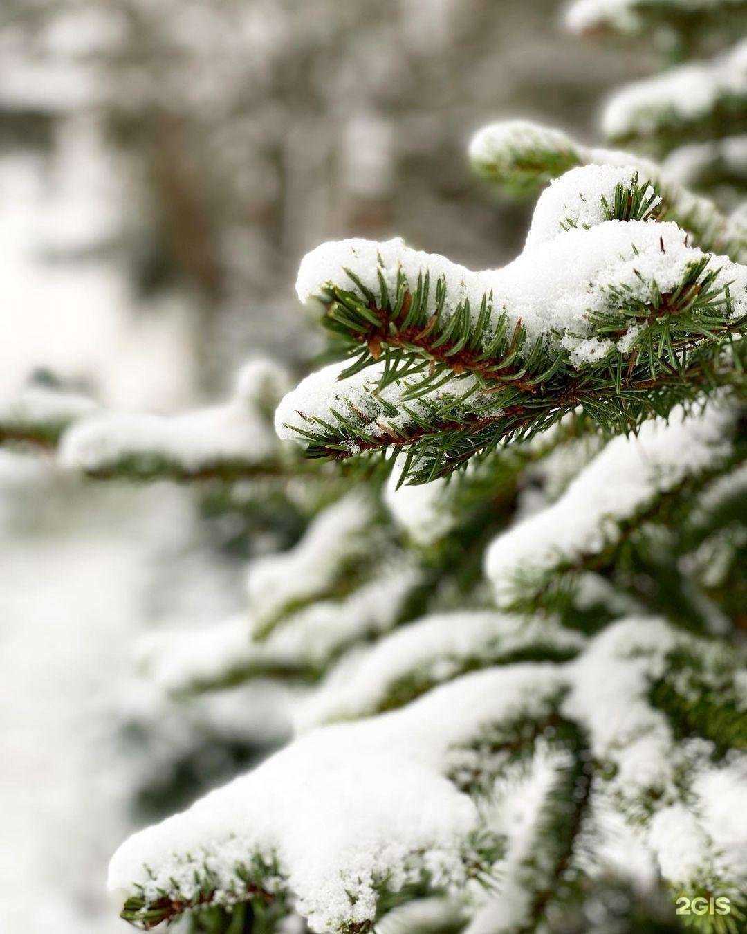 Отзывы на компанию K-bergавто в г. Калининград c фото