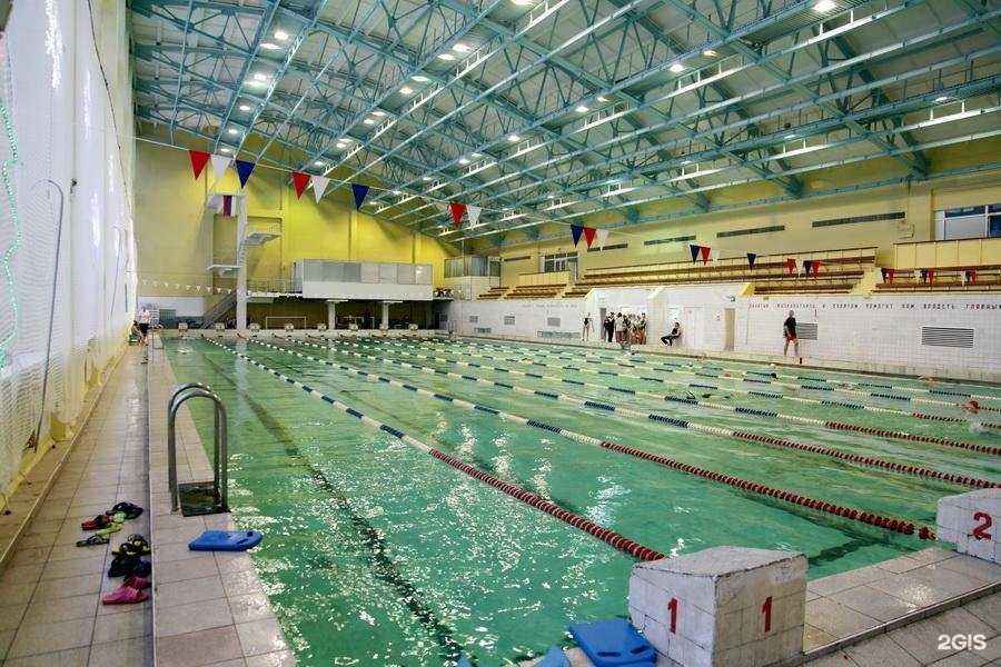 Отзывы на компанию Дельфин в г. Нижний Новгород c фото