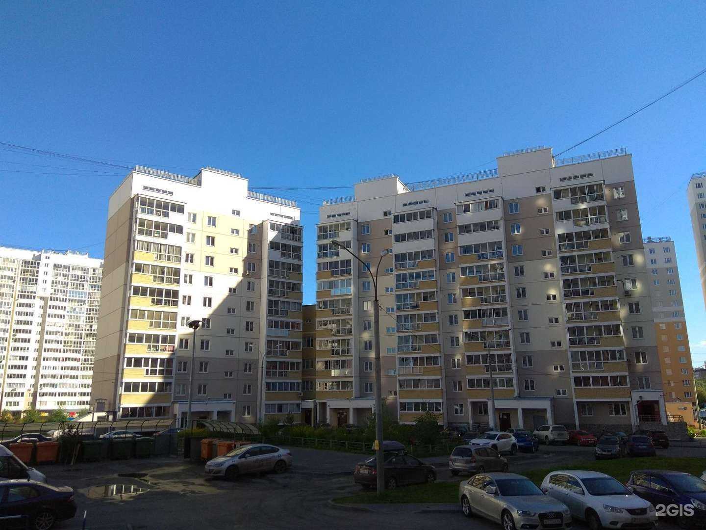 Отзывы на компанию 38 попугаев в Екатеринбурге c фото - фотография 2 из 2