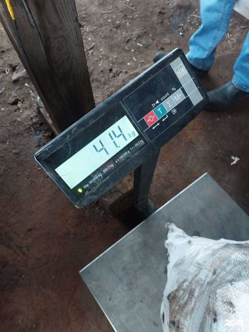 Отзывы на компанию Регион металл в Новосибирске c фото