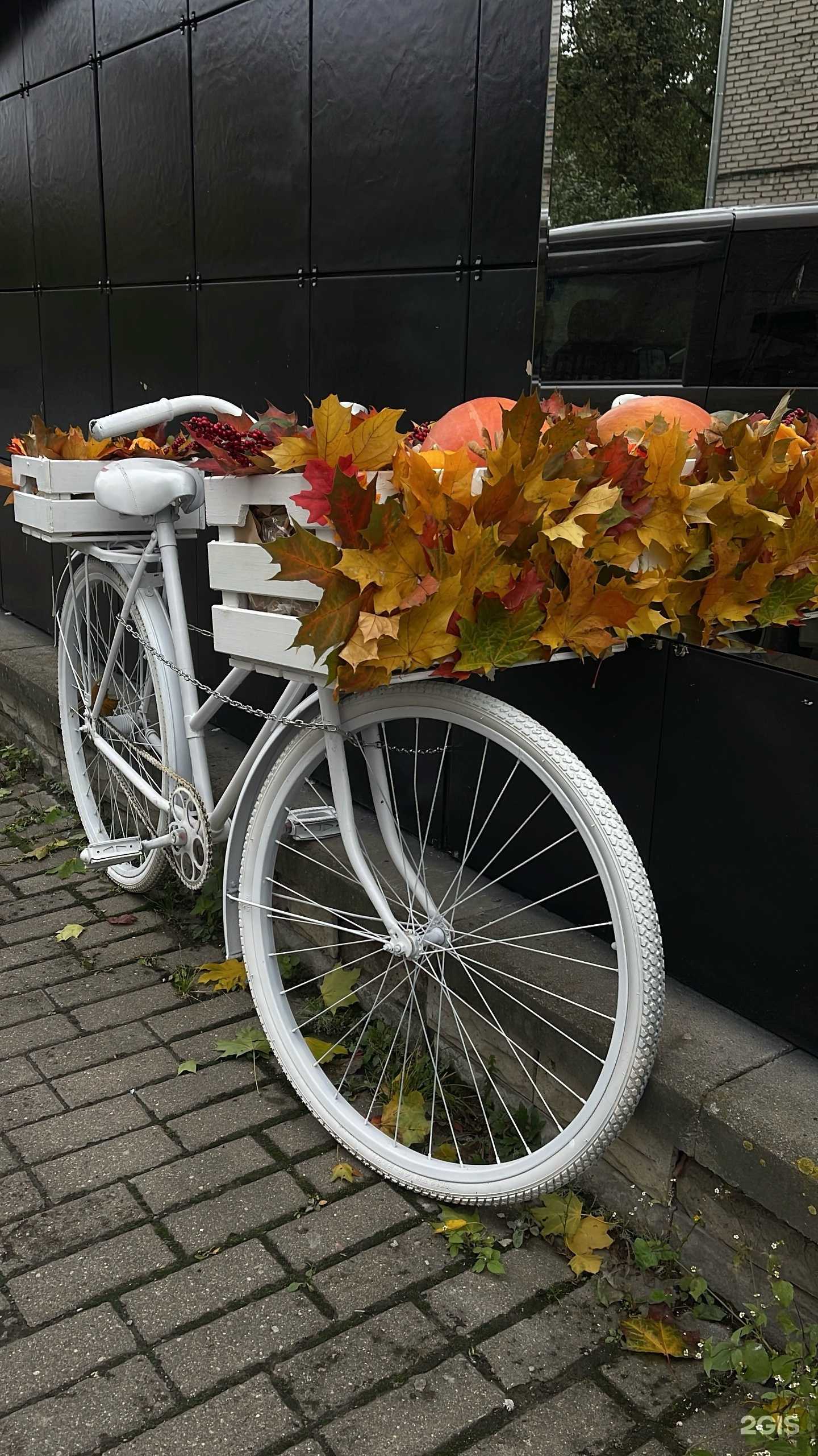 Отзывы на компанию KrasLife в Пскове c фото