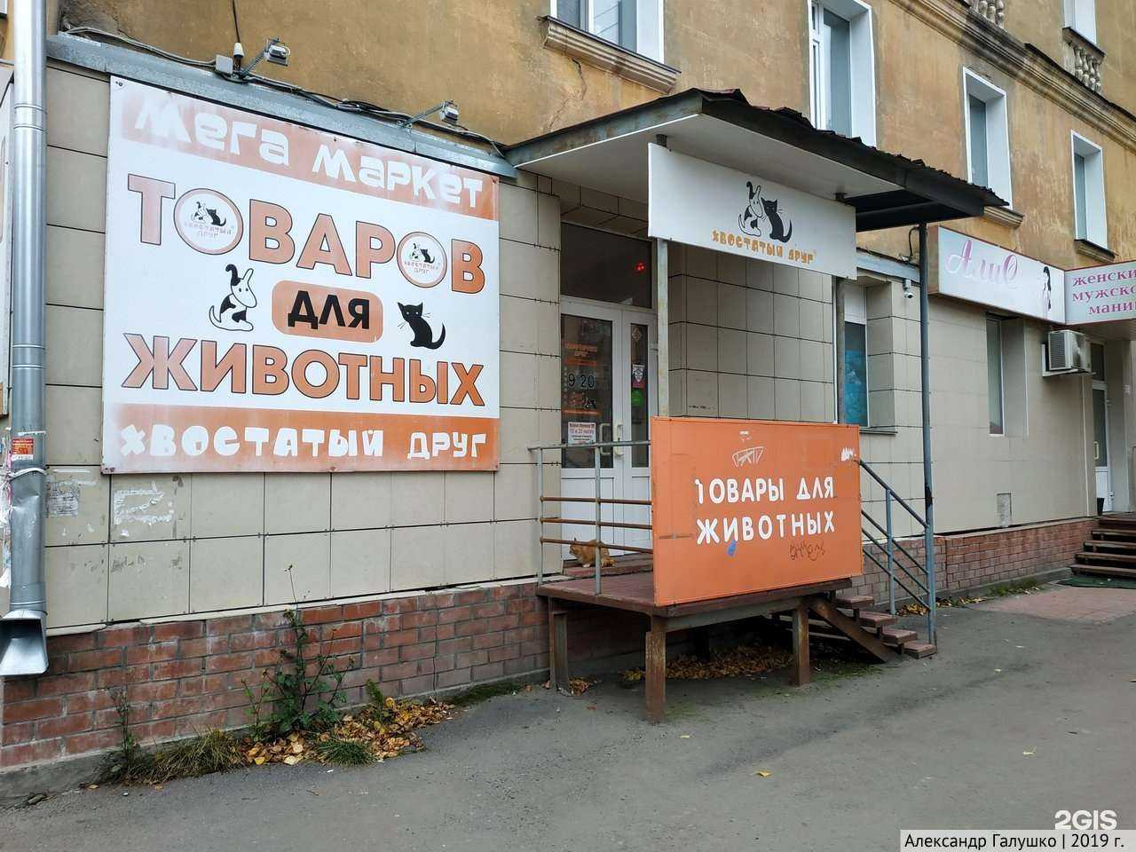 Отзывы на компанию Хвостатый друг в Кирове c фото