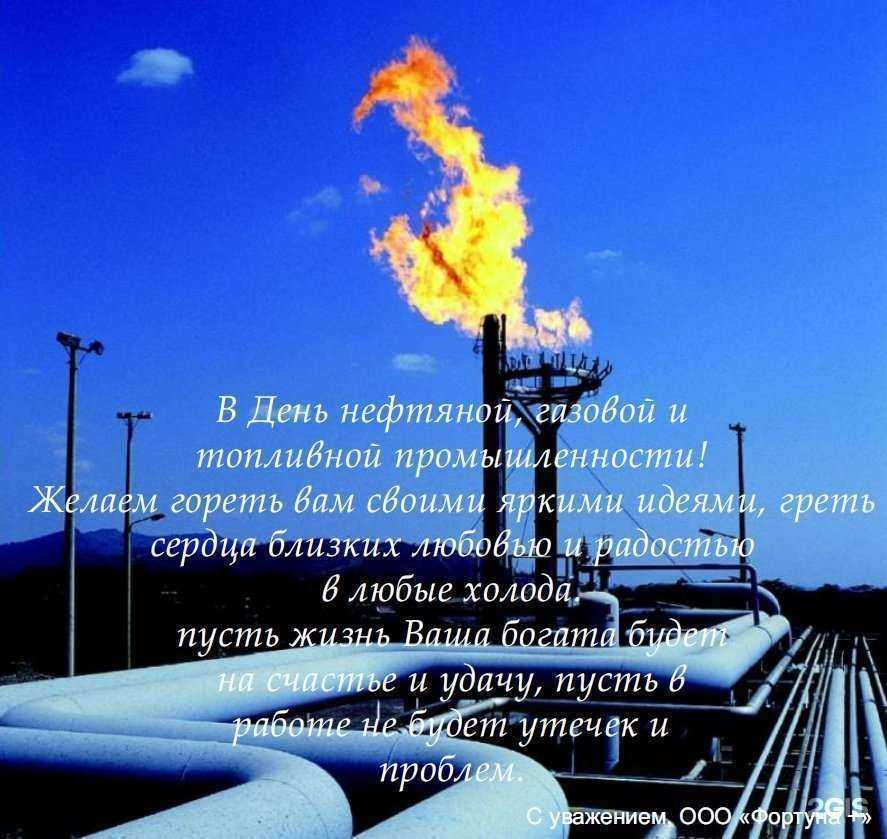 Отзывы на компанию Фортуна + в Новосибирске c фото