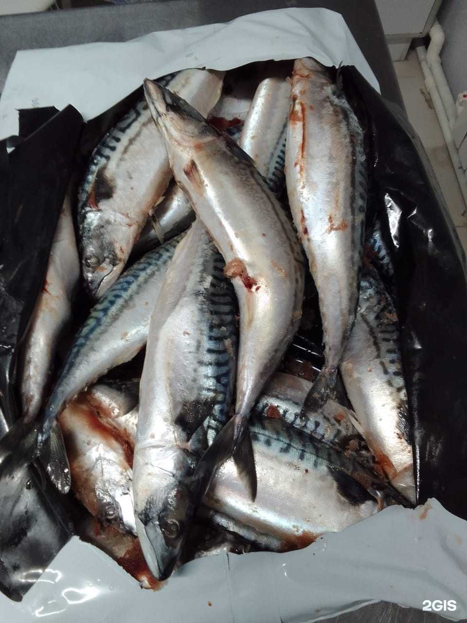 Отзывы на компанию Рыбка-72 в г. Тюмень c фото