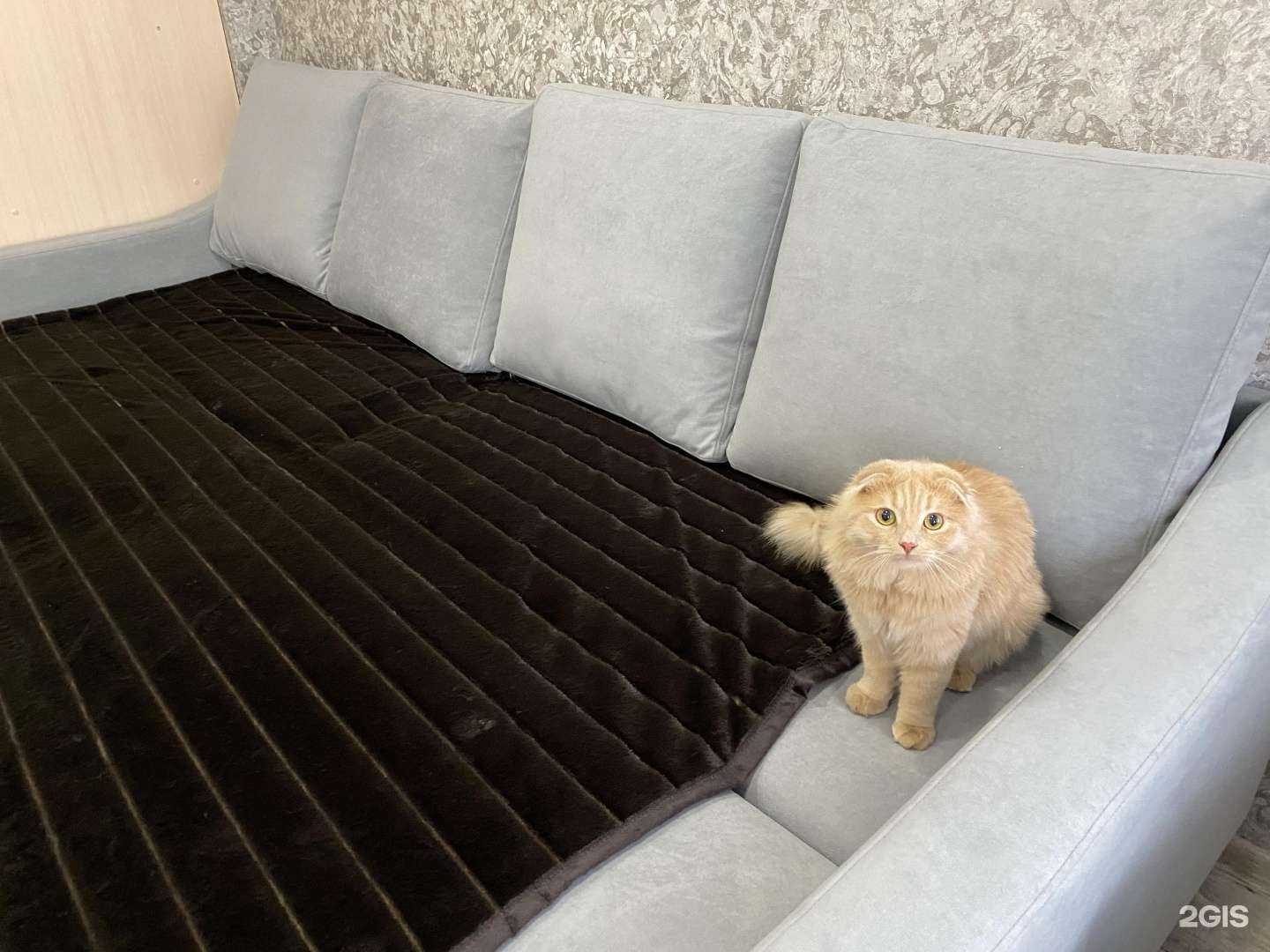 Отзывы на компанию Дивный мир в Воронеже c фото