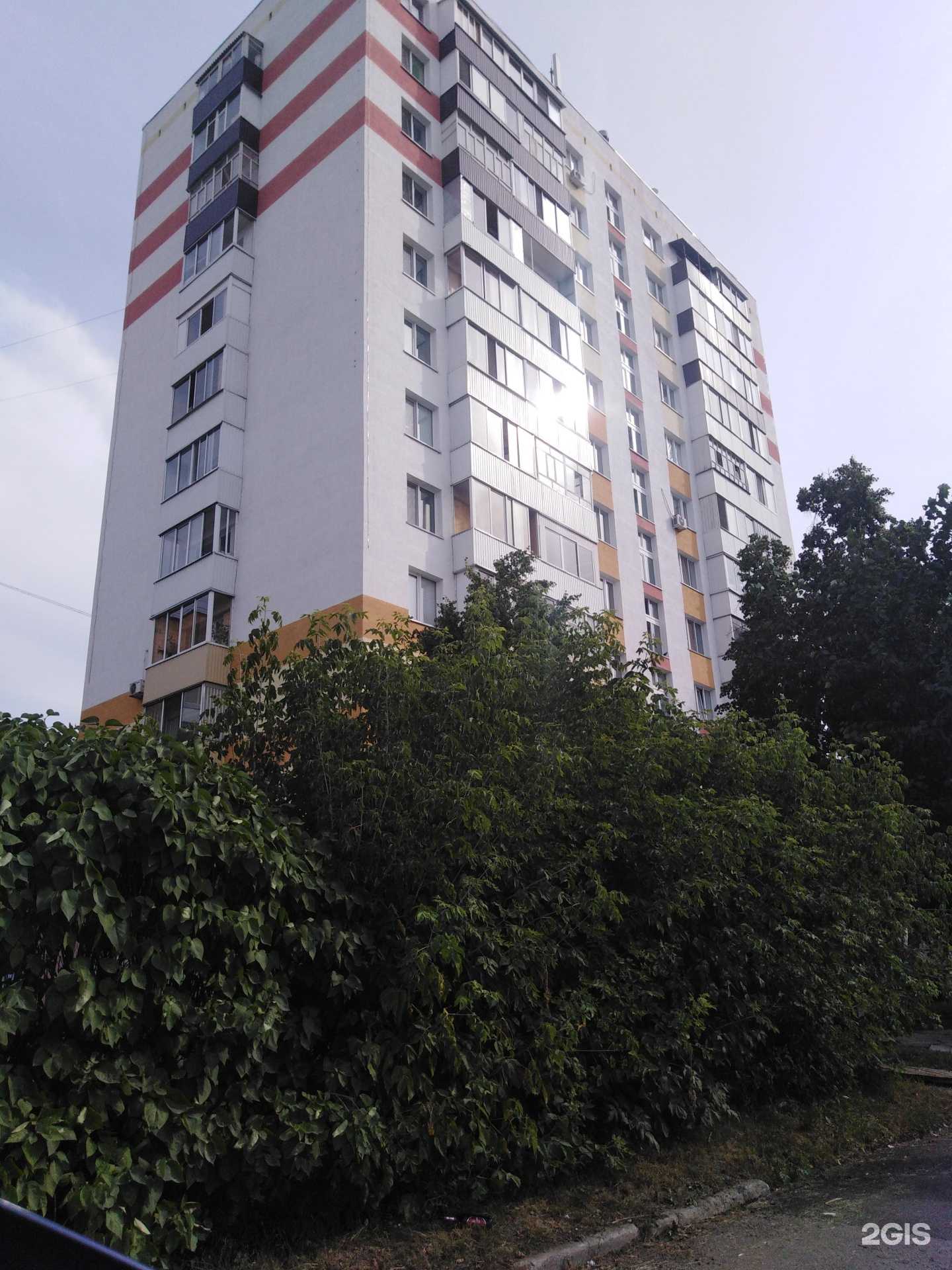 Отзывы на компанию ZooКормов в Набережных Челнах c фото - фотография 2 из 2