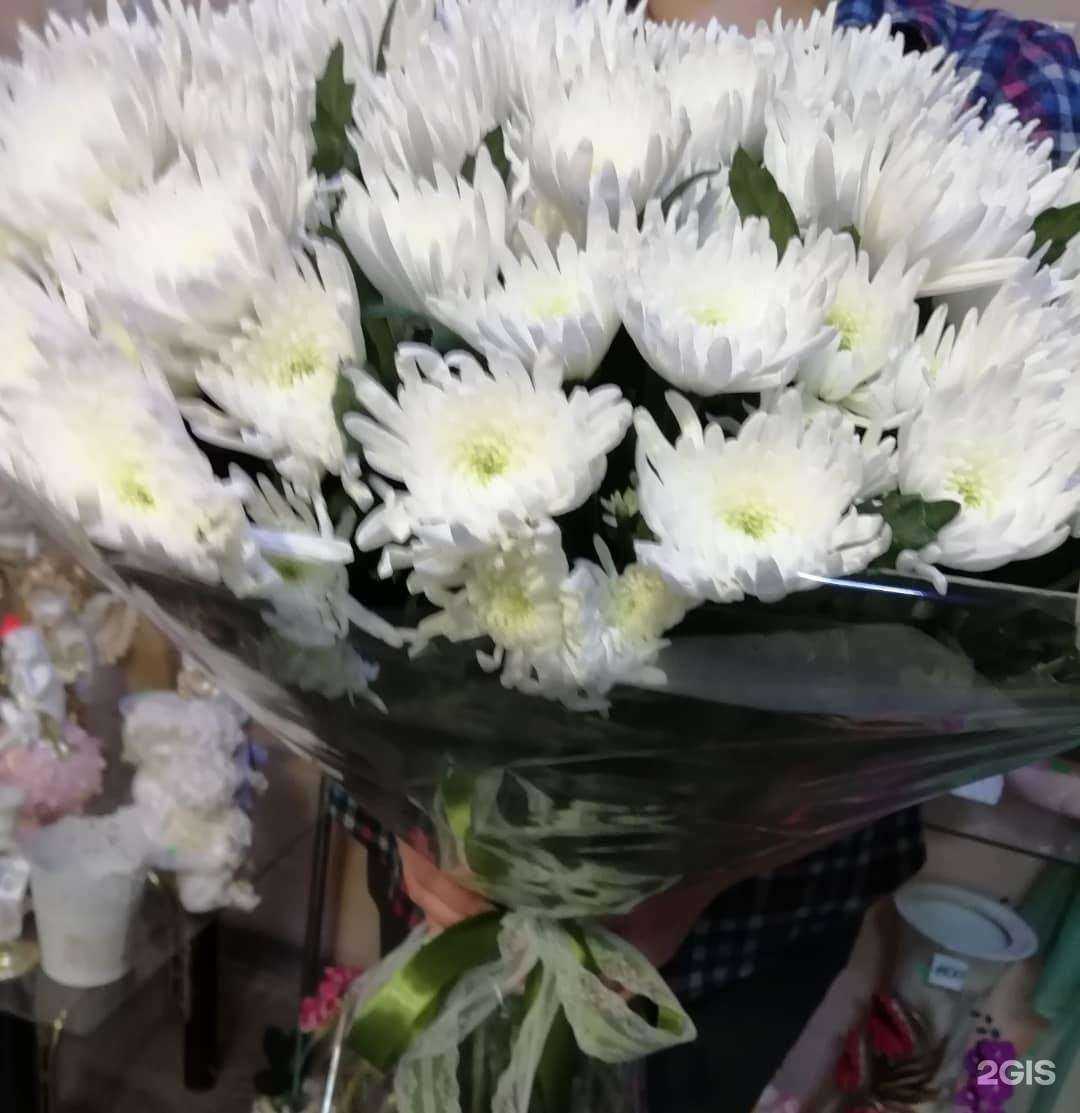 Отзывы на компанию Кактус-pro в Сызрани c фото