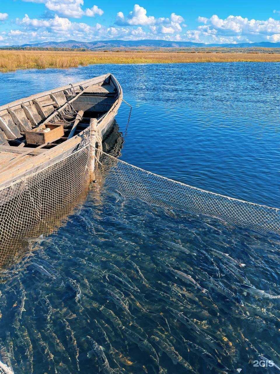 Отзывы на компанию Главрыбвод в Улан-Удэ c фото