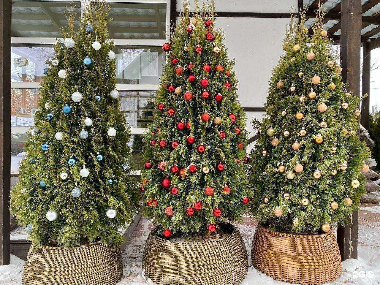 Отзывы на компанию Садовый центр Абдуллиных в Нагаево в Уфе c фото