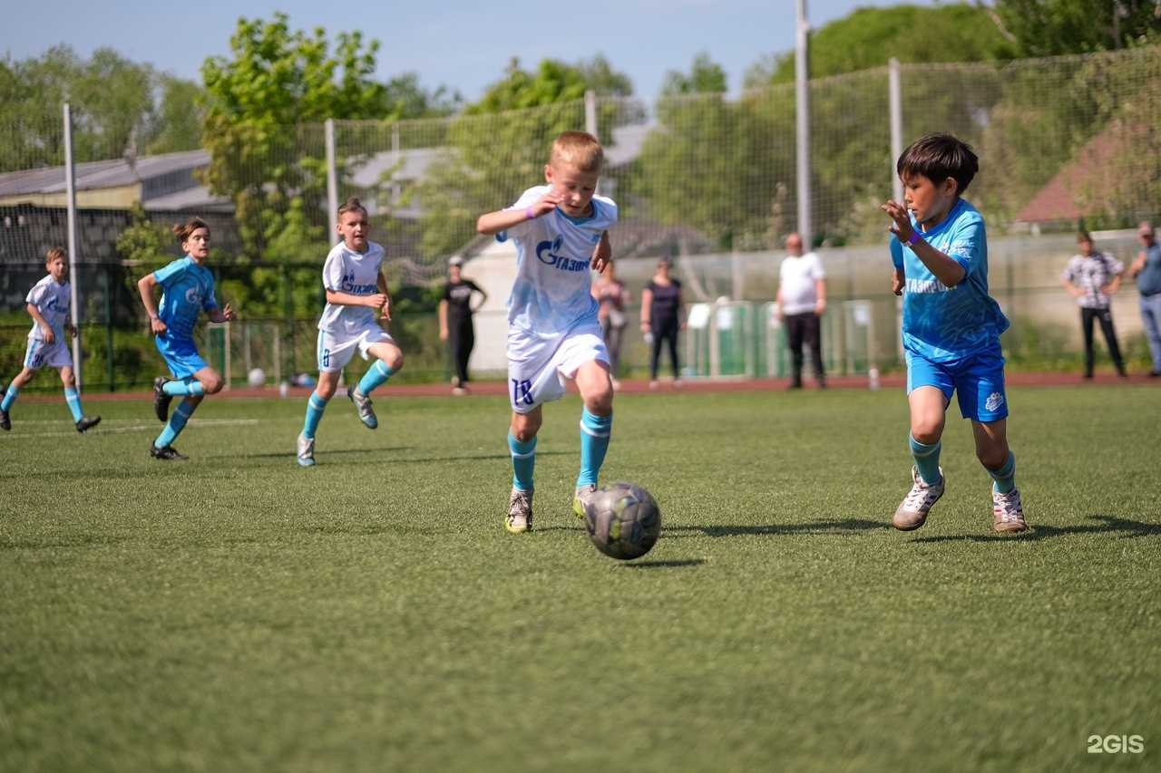 Отзывы на компанию Зенит-Чемпионика в Тюмени c фото