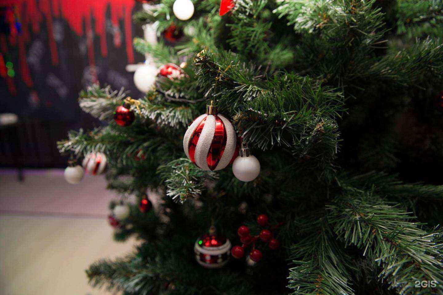 Отзывы на компанию ‎Игра в Кальмара в г. Ростов-на-Дону c фото