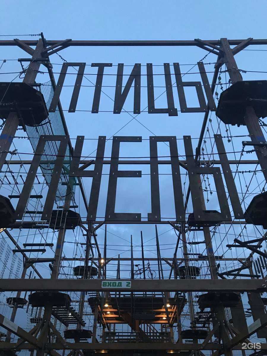 Отзывы на компанию Птицы и Пчёлы в Коммунарке c фото - фотография 2 из 2