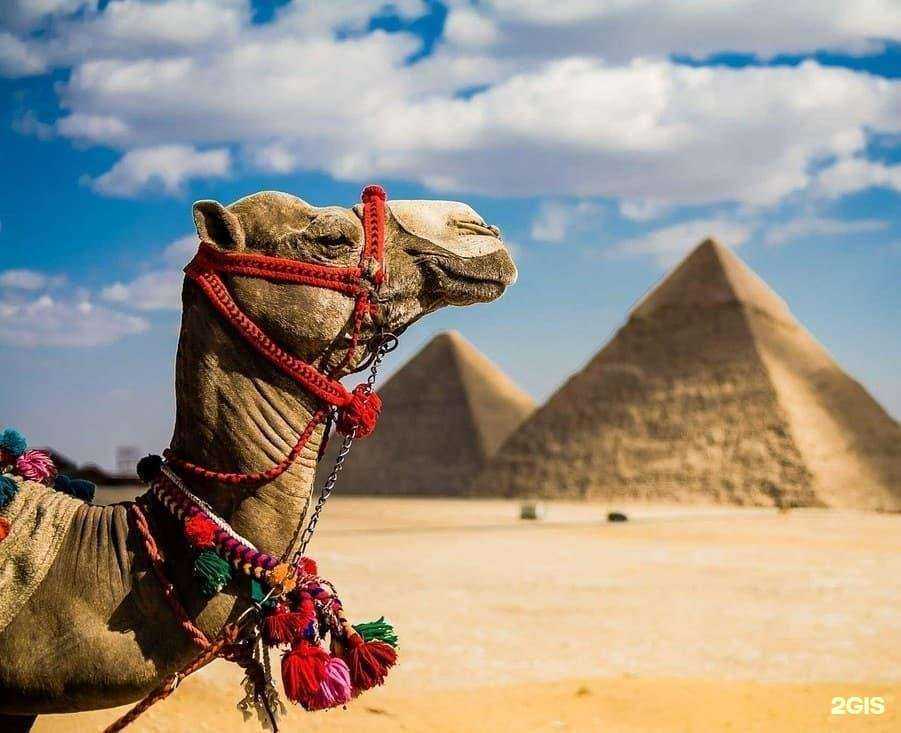 Отзывы на компанию Глобус Желаний в Челябинске c фото