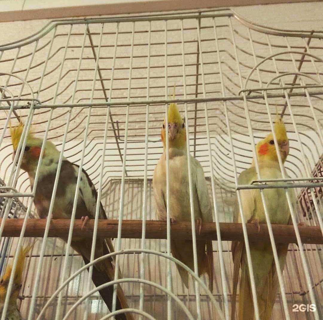 Отзывы на компанию Мадагаскар в г. Уссурийск c фото