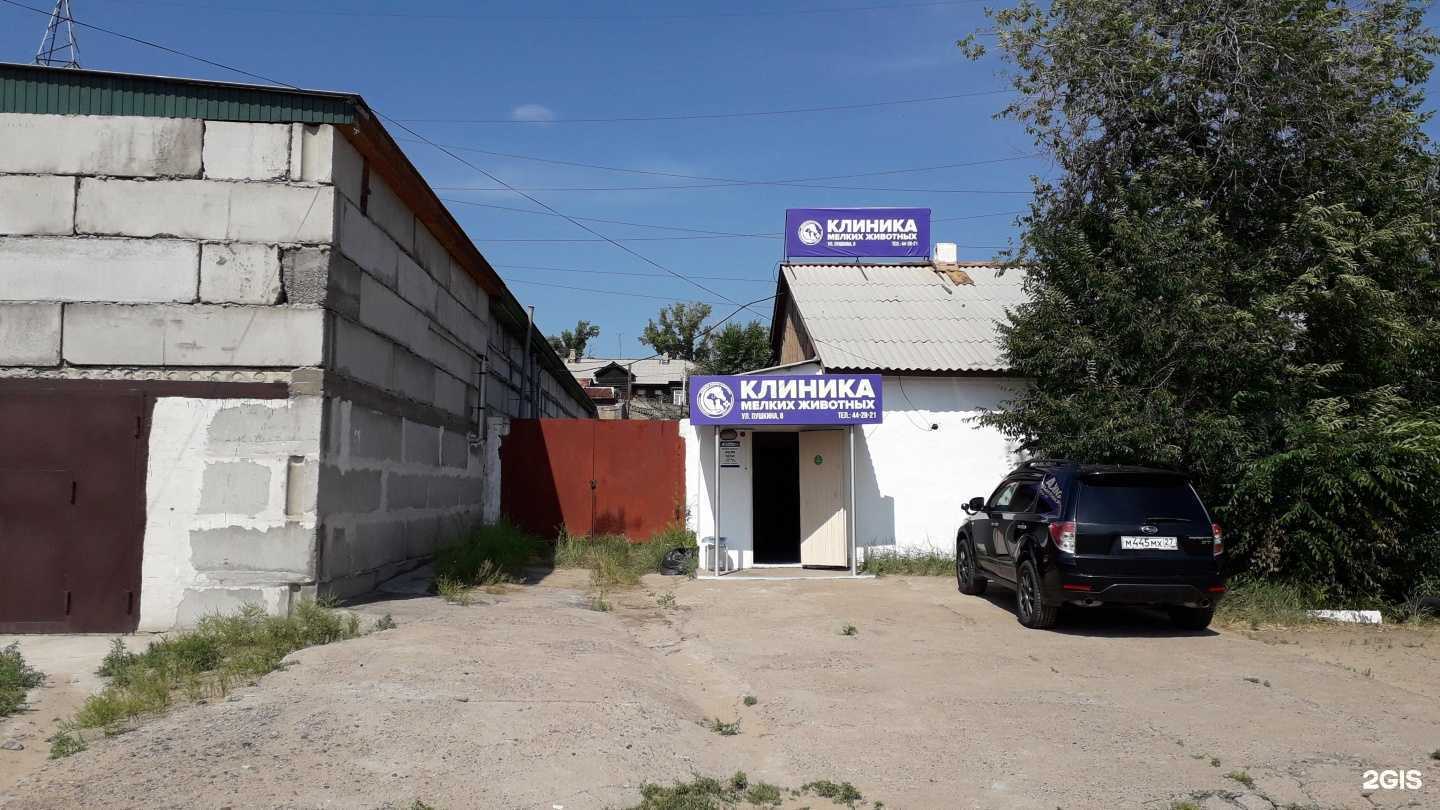 Отзывы на компанию Клиника мелких животных в Улан-Удэ c фото - фотография 2 из 2