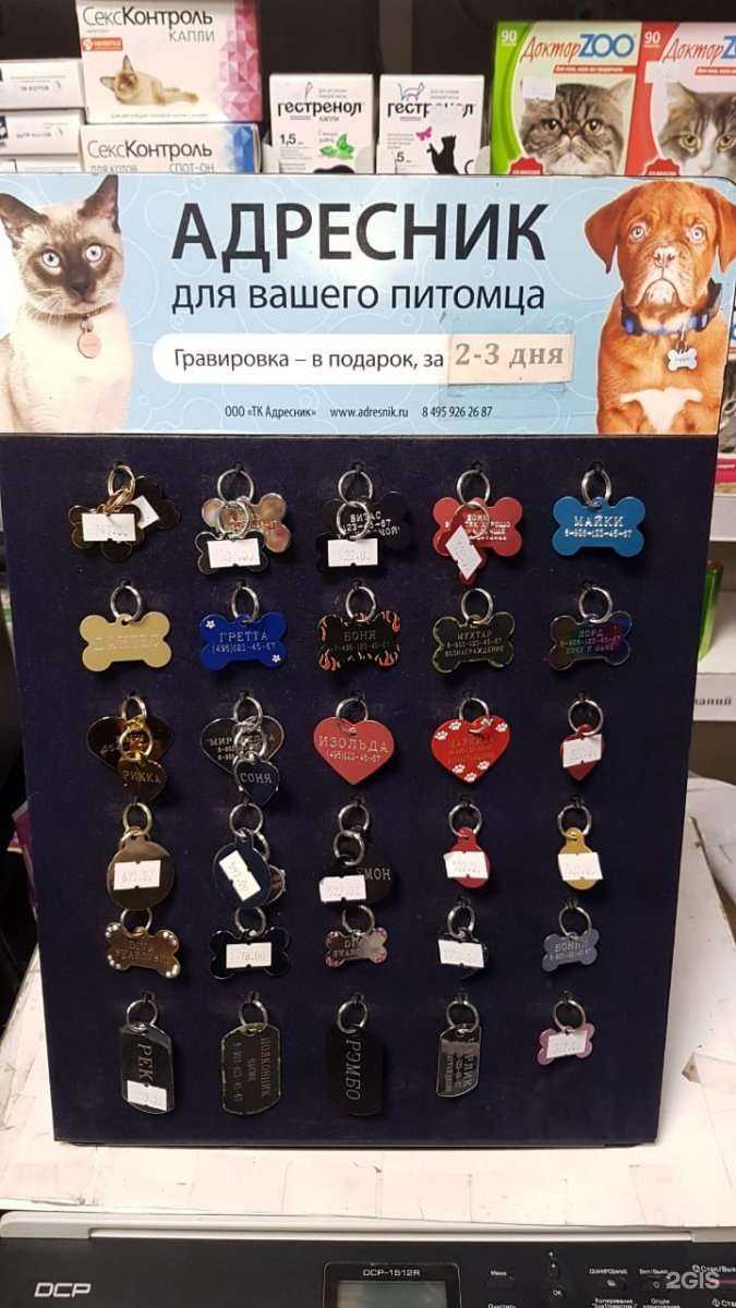 Отзывы на компанию Питомец в Нижнем Новгороде c фото