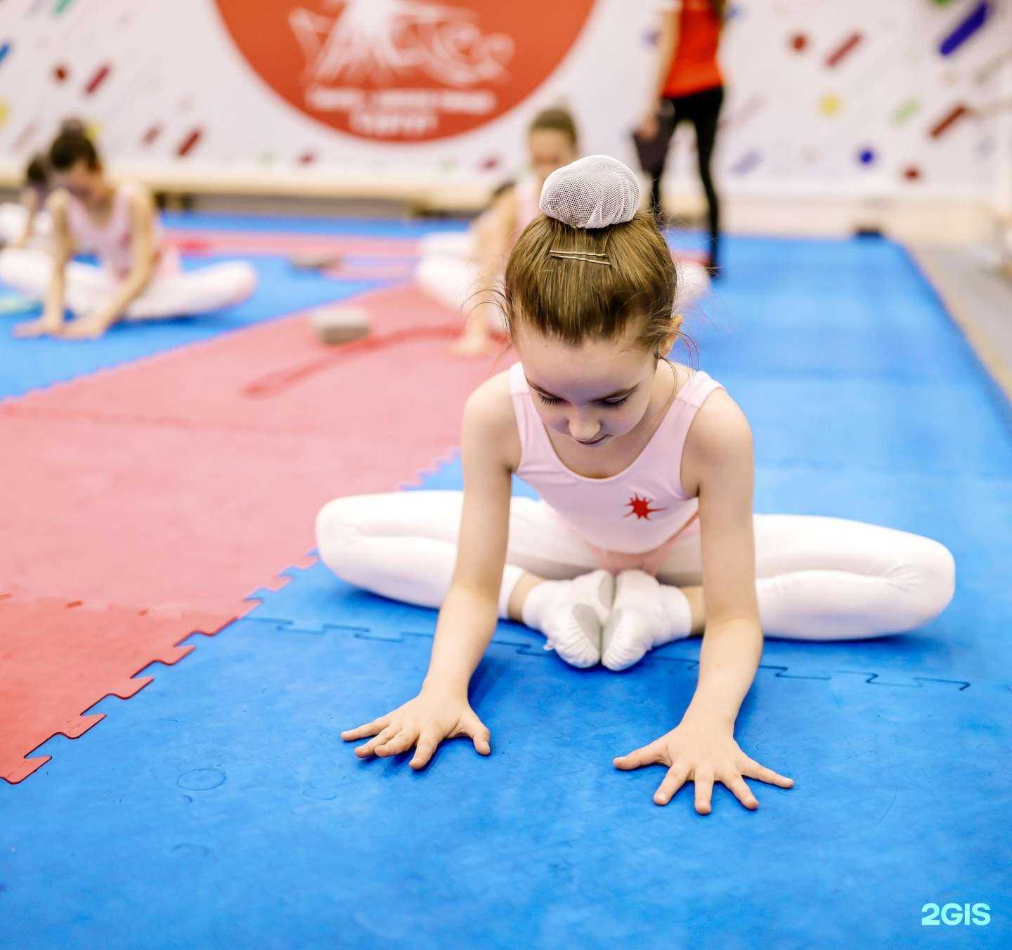 Отзывы на компанию Галатея в г. Сургут c фото