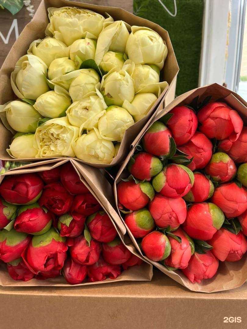 Отзывы на компанию Вистерия в г. Челябинск c фото