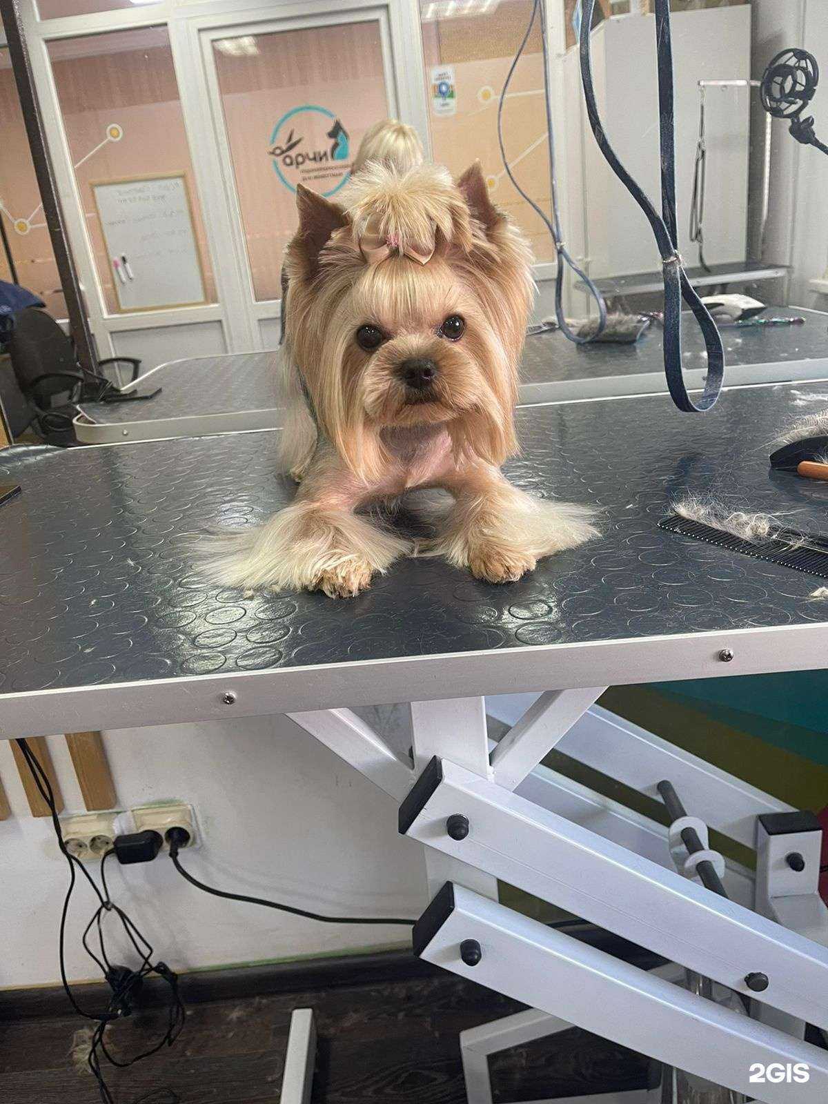 Отзывы на компанию Арчи в г. Набережные Челны c фото