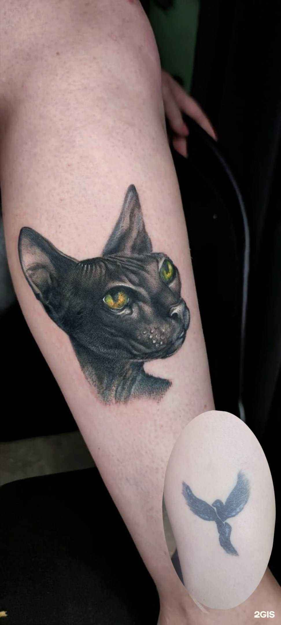 Отзывы на компанию Чешир в г. Саратов c фото