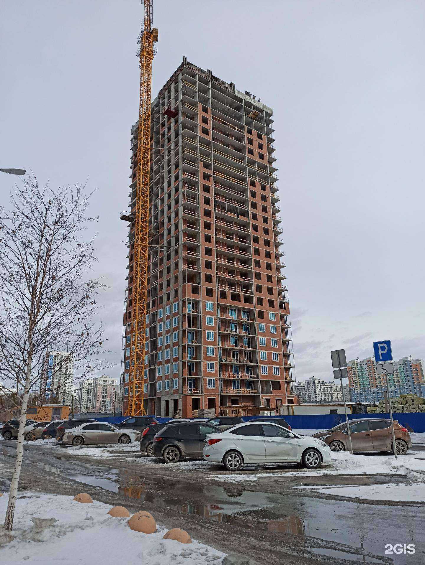 Отзывы на компанию Мир хвостатых в г. Екатеринбург c фото