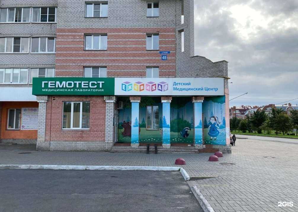 Отзывы на компанию Ежевика в Череповце c фото