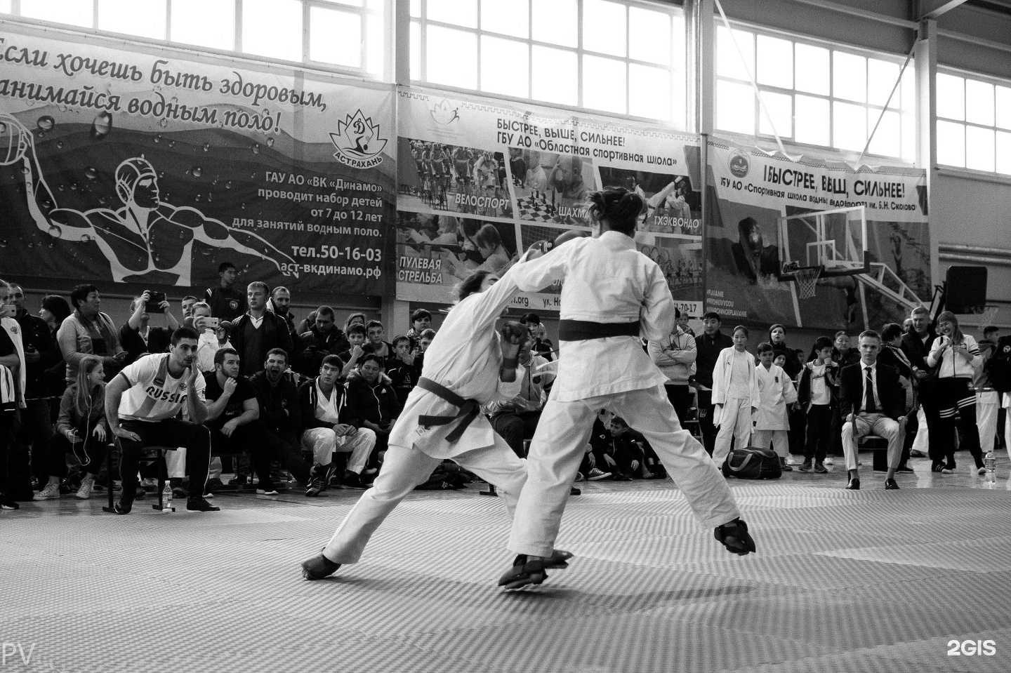 Отзывы на компанию Шото в Астрахани c фото