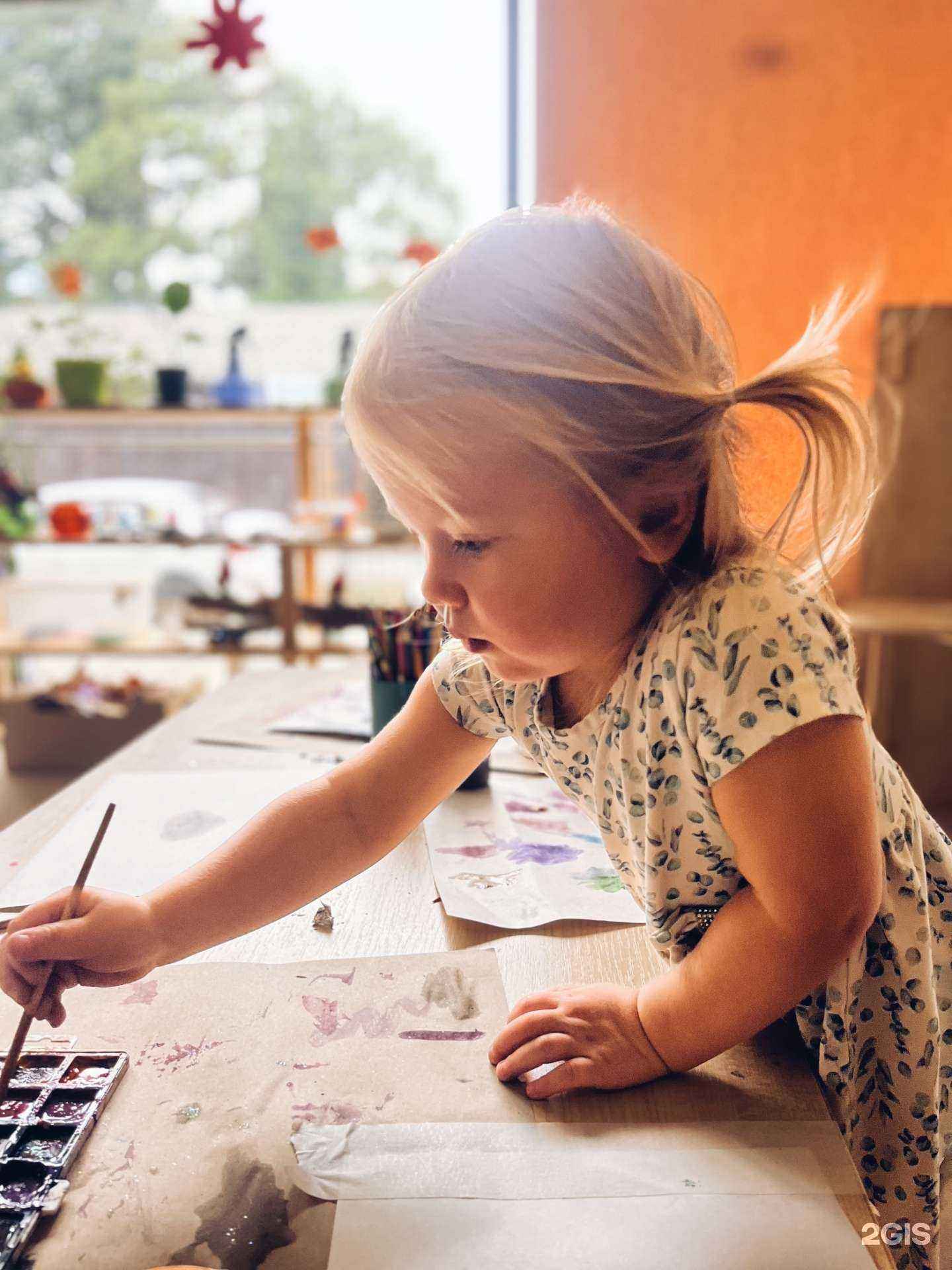 Отзывы на компанию Сад у Моря в Сочи c фото