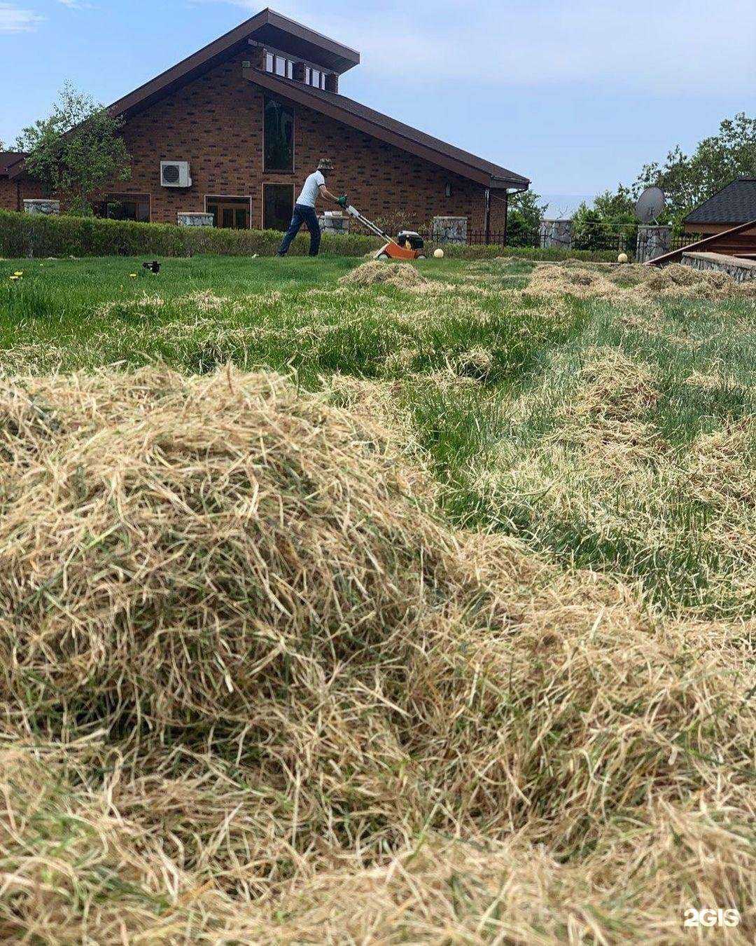 Отзывы на компанию Landscaper в г. Находка c фото