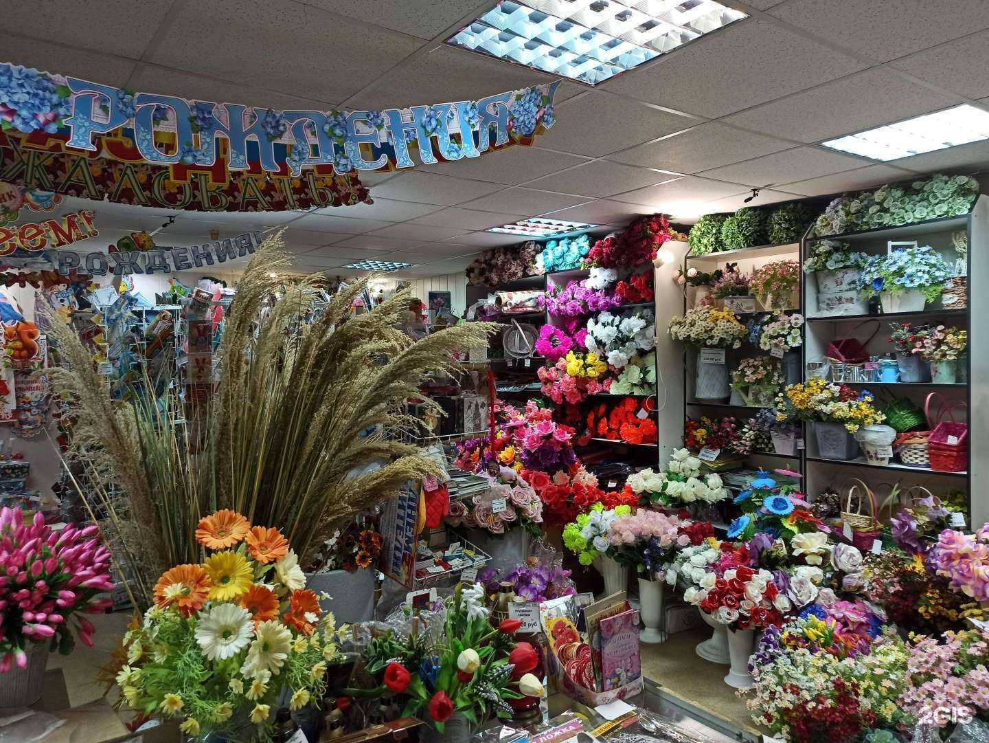 Отзывы на компанию Рута в Апатитах c фото