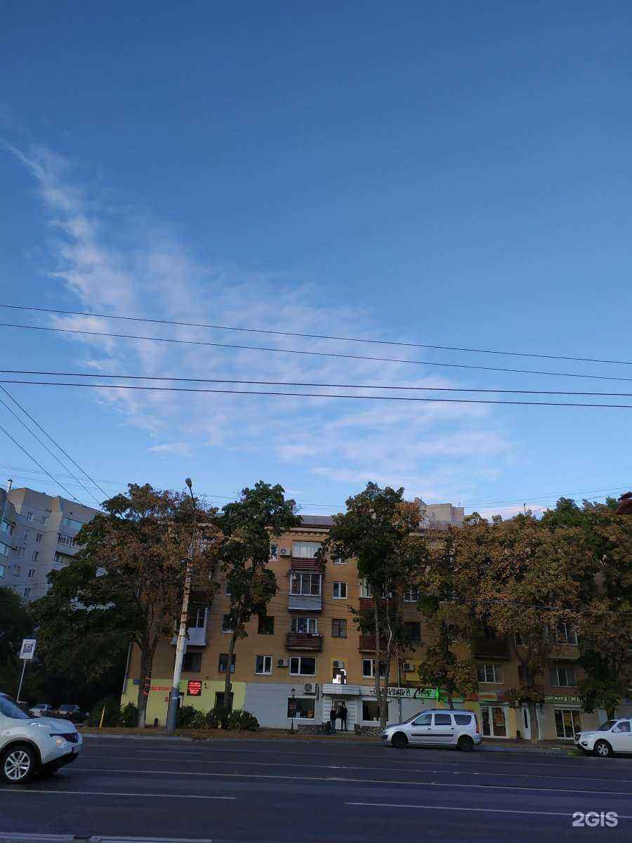 Отзывы на компанию Вита в Воронеже c фото - фотография 2 из 2