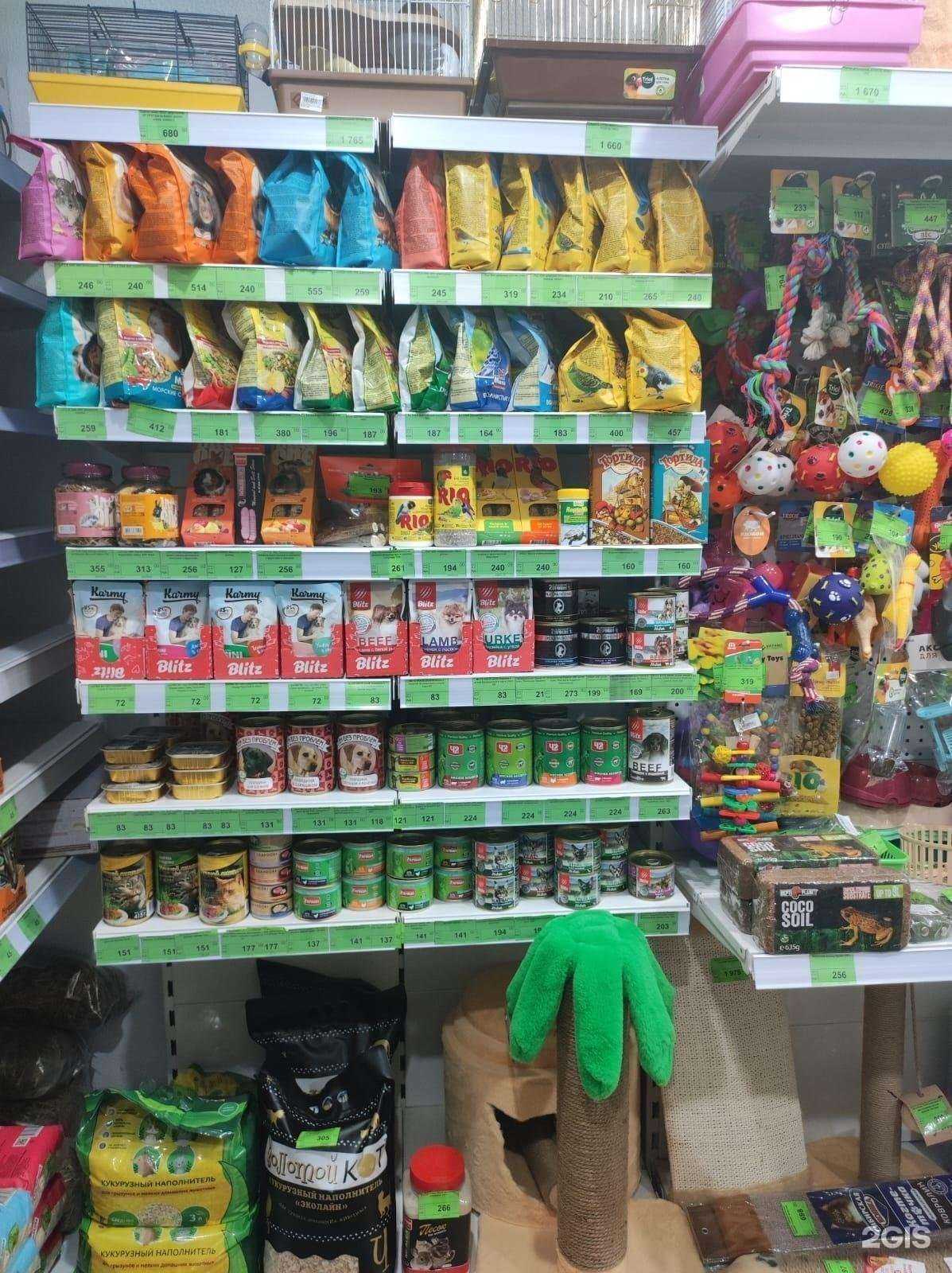 Отзывы на компанию Планета Зоо в Томске c фото