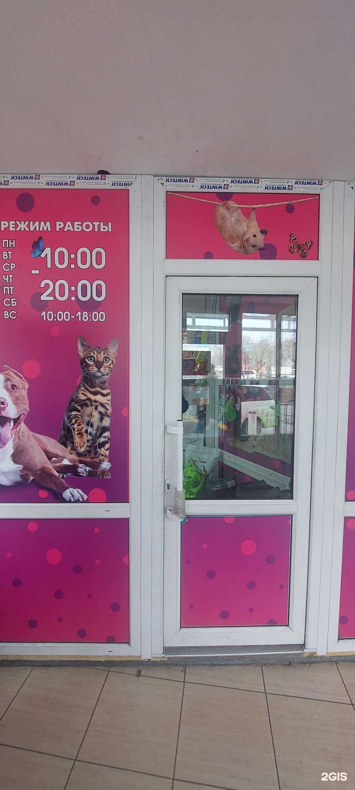 Отзывы на компанию Зоомир в Петропавловске-Камчатском c фото