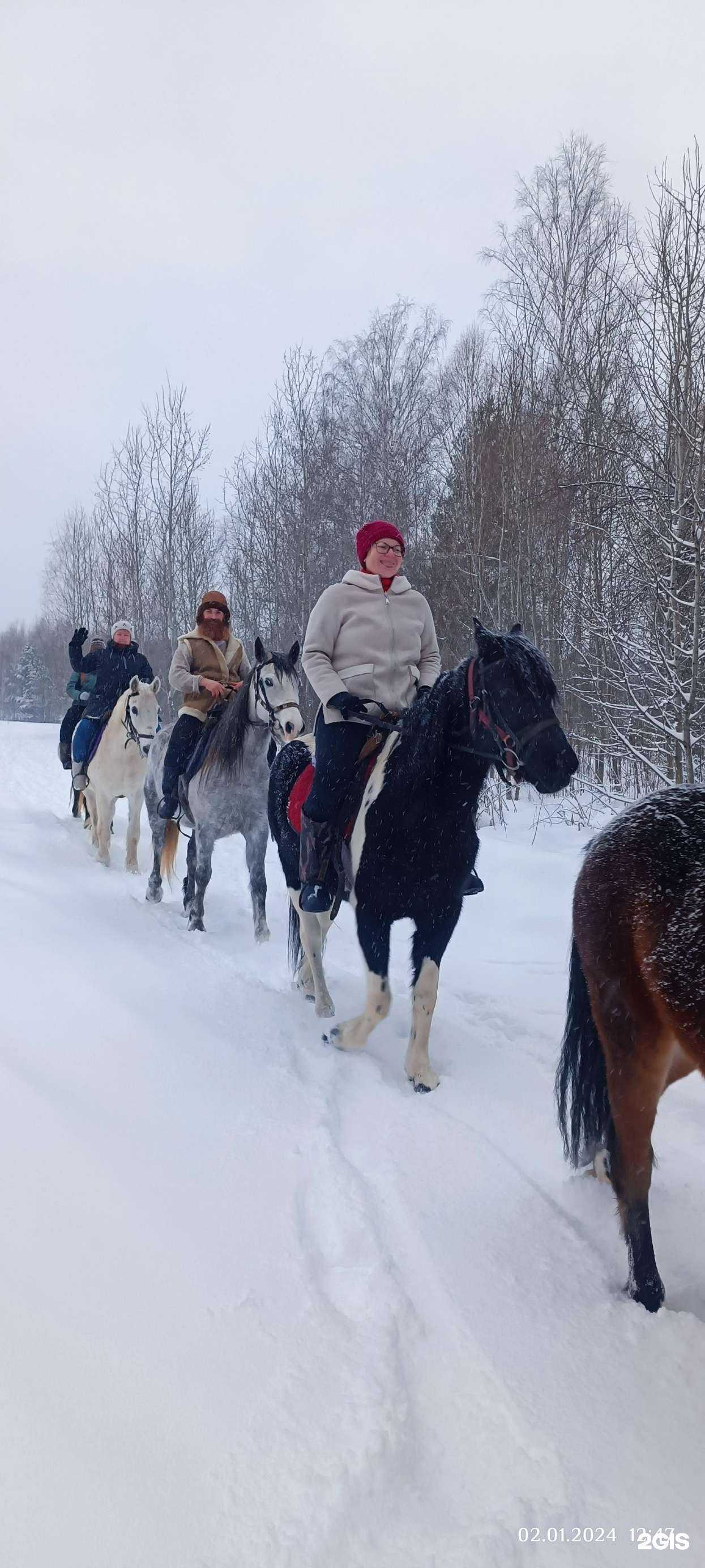 Отзывы на компанию Русская тройка в Томске c фото