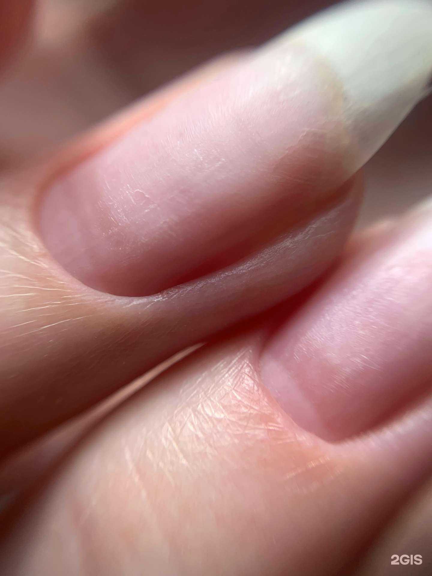 Отзывы на компанию Lilac beauty в Нижнем Новгороде c фото