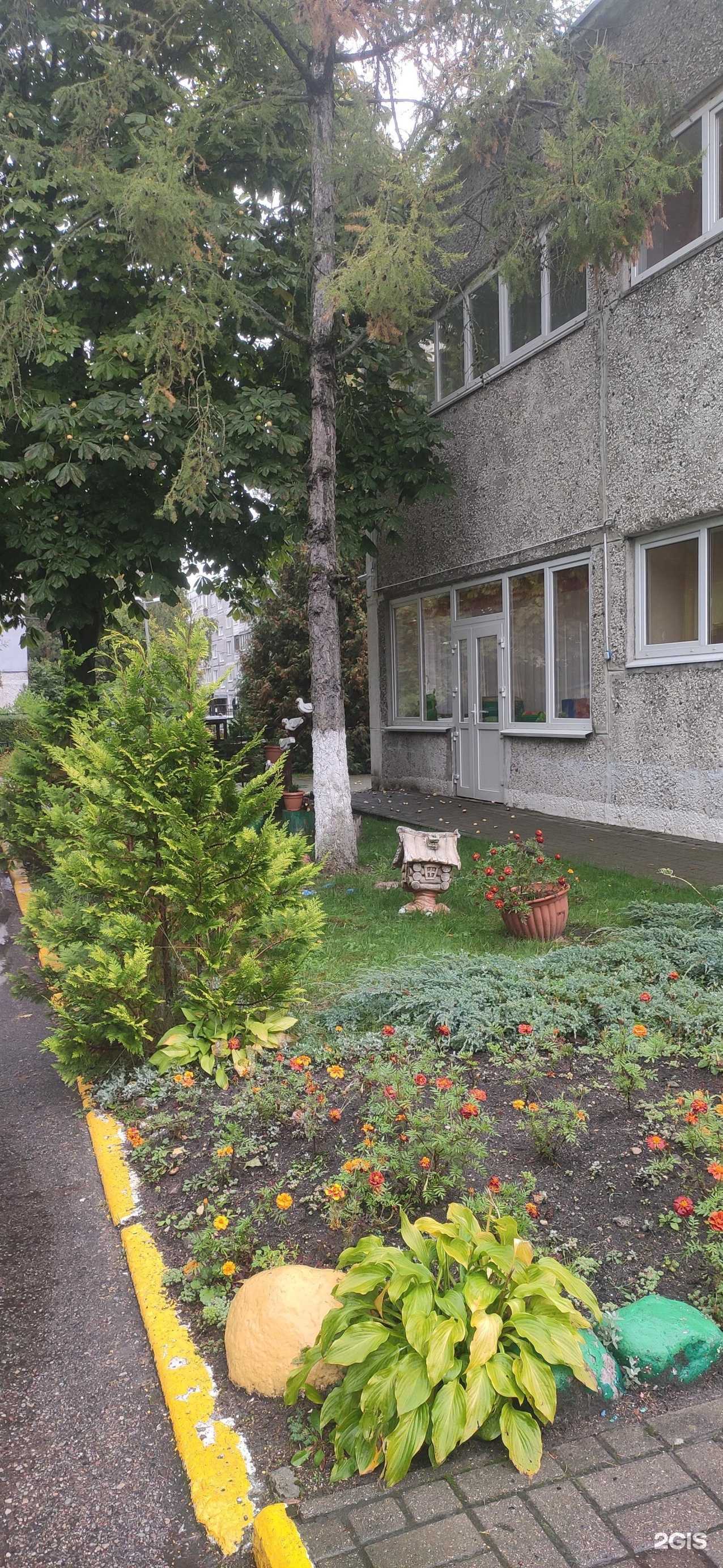 Отзывы на компанию Детский сад №50 в Калининграде c фото