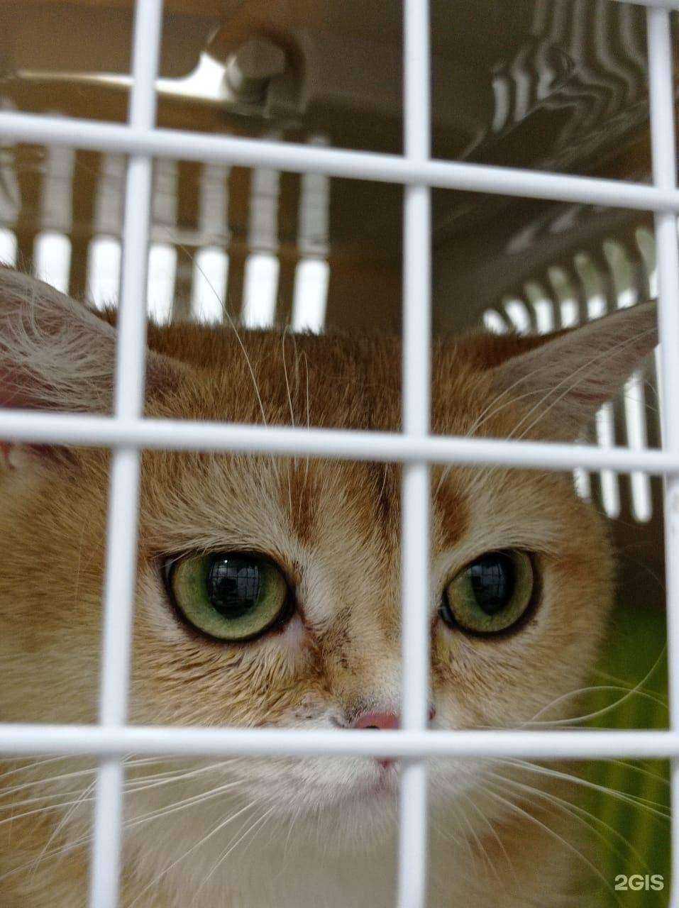 Отзывы на компанию Рассвет в г. Осинники c фото