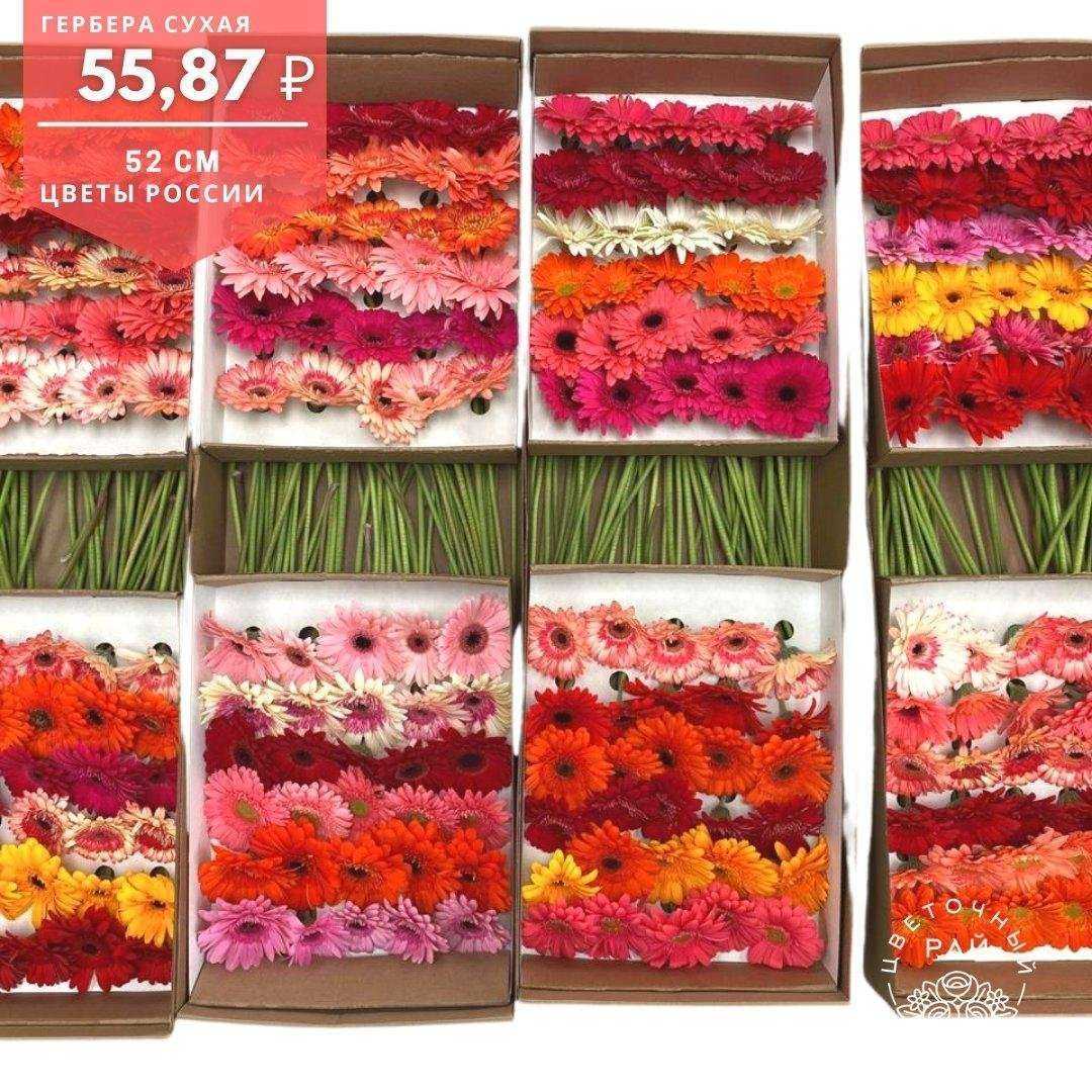 Отзывы на компанию Цветочный рай в Ижевске c фото