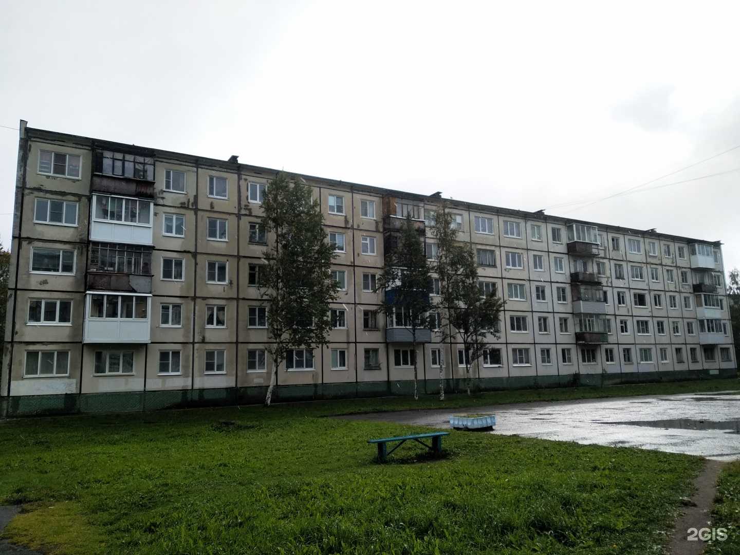 Отзывы на компанию Хороший грумер в Северодвинске c фото - фотография 2 из 2