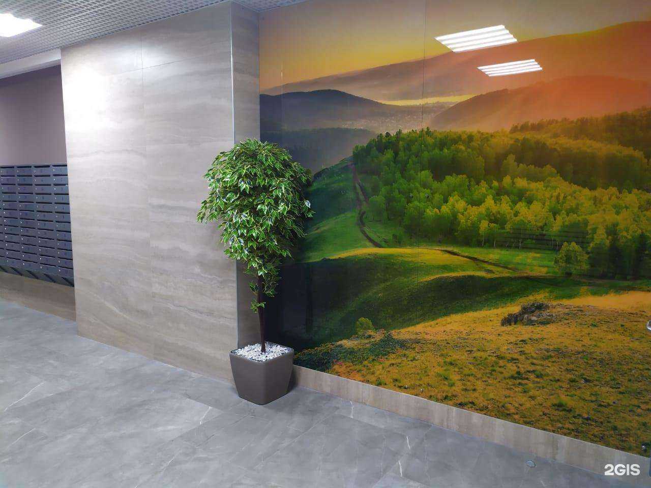 Отзывы на компанию Senevich Group в Красноярске c фото - фотография 2 из 2