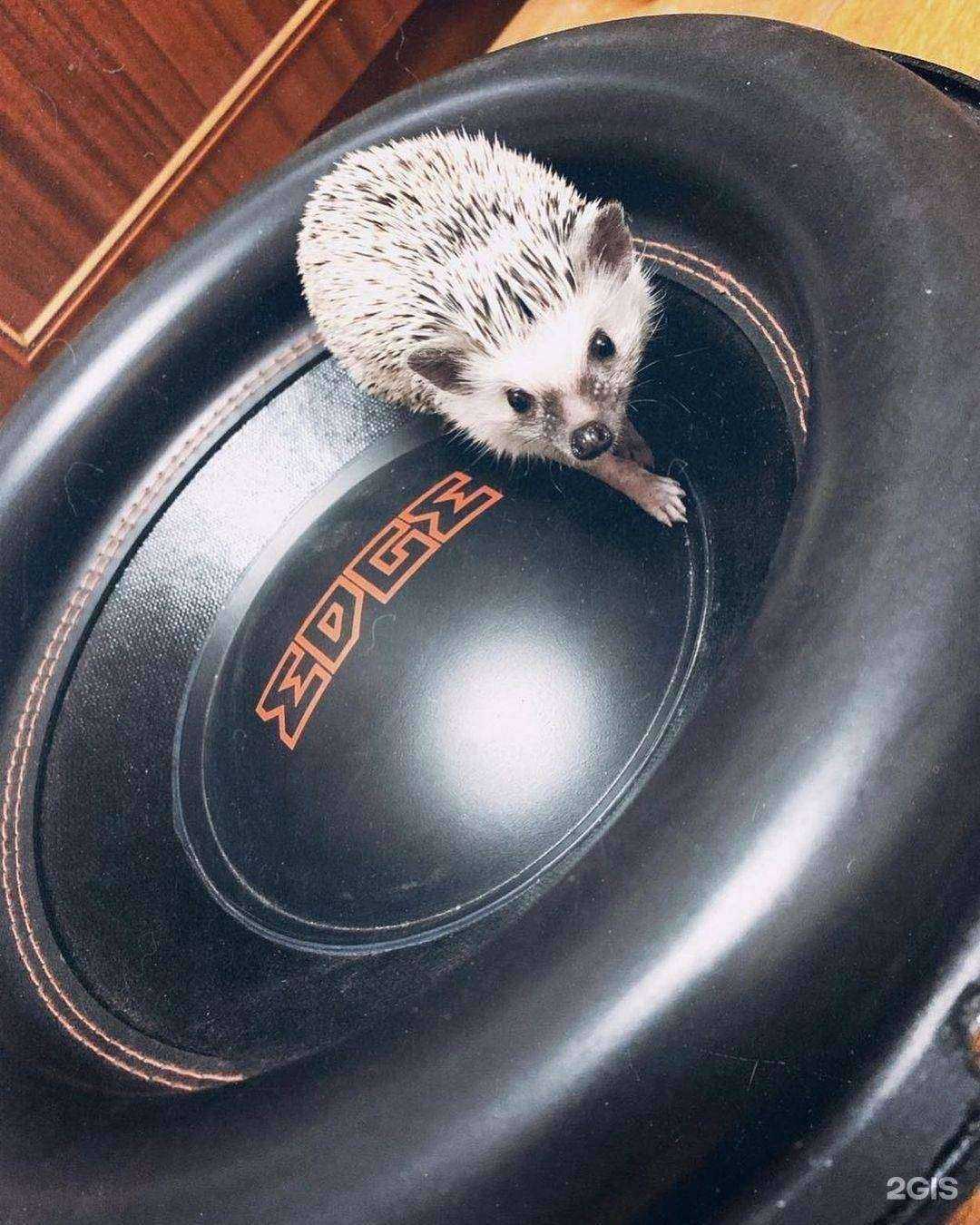 Отзывы на компанию ААЦ-Дистрибьюшн в г. Реутов c фото