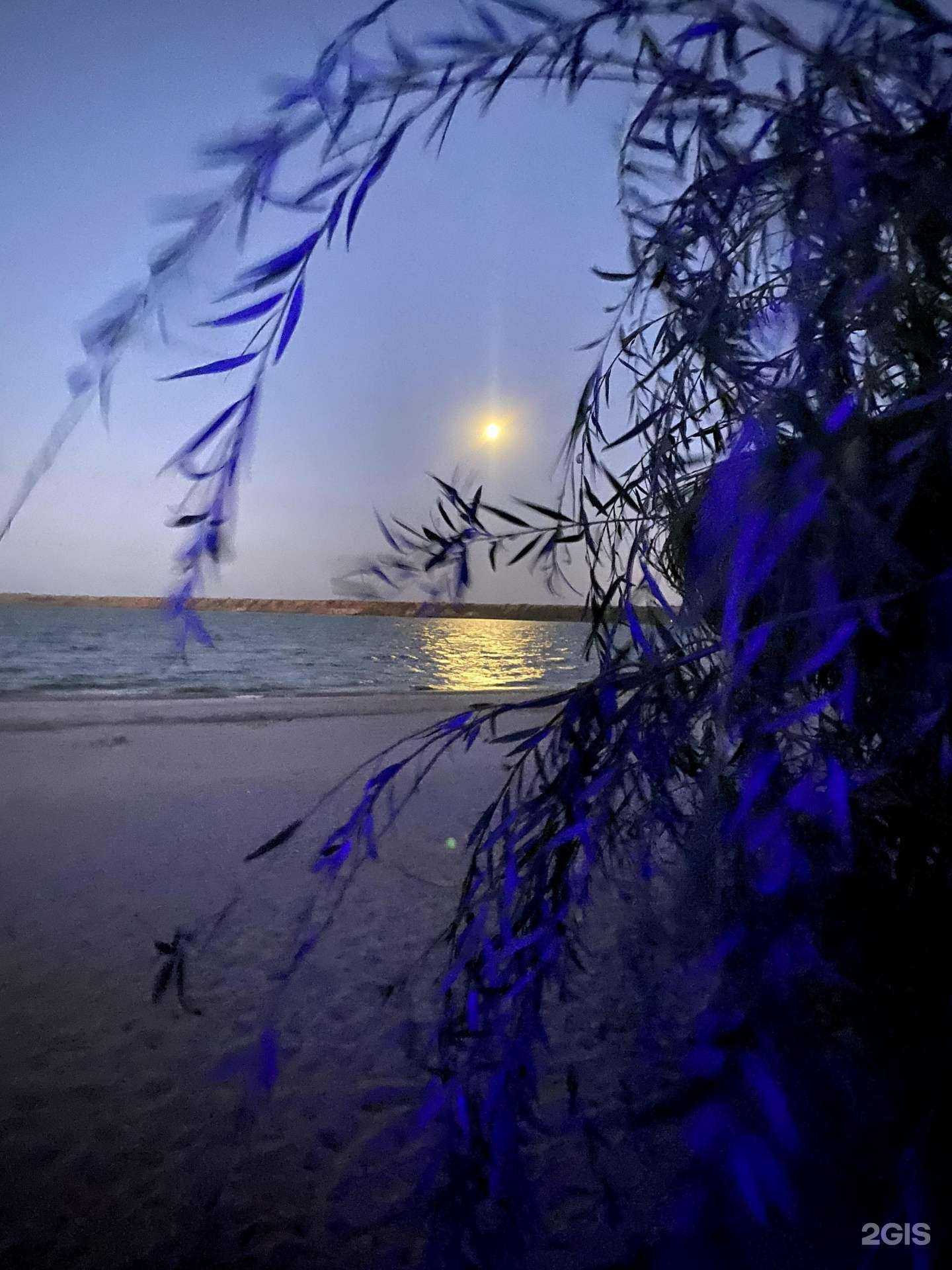 Отзывы на компанию Эдем в г. Азов c фото