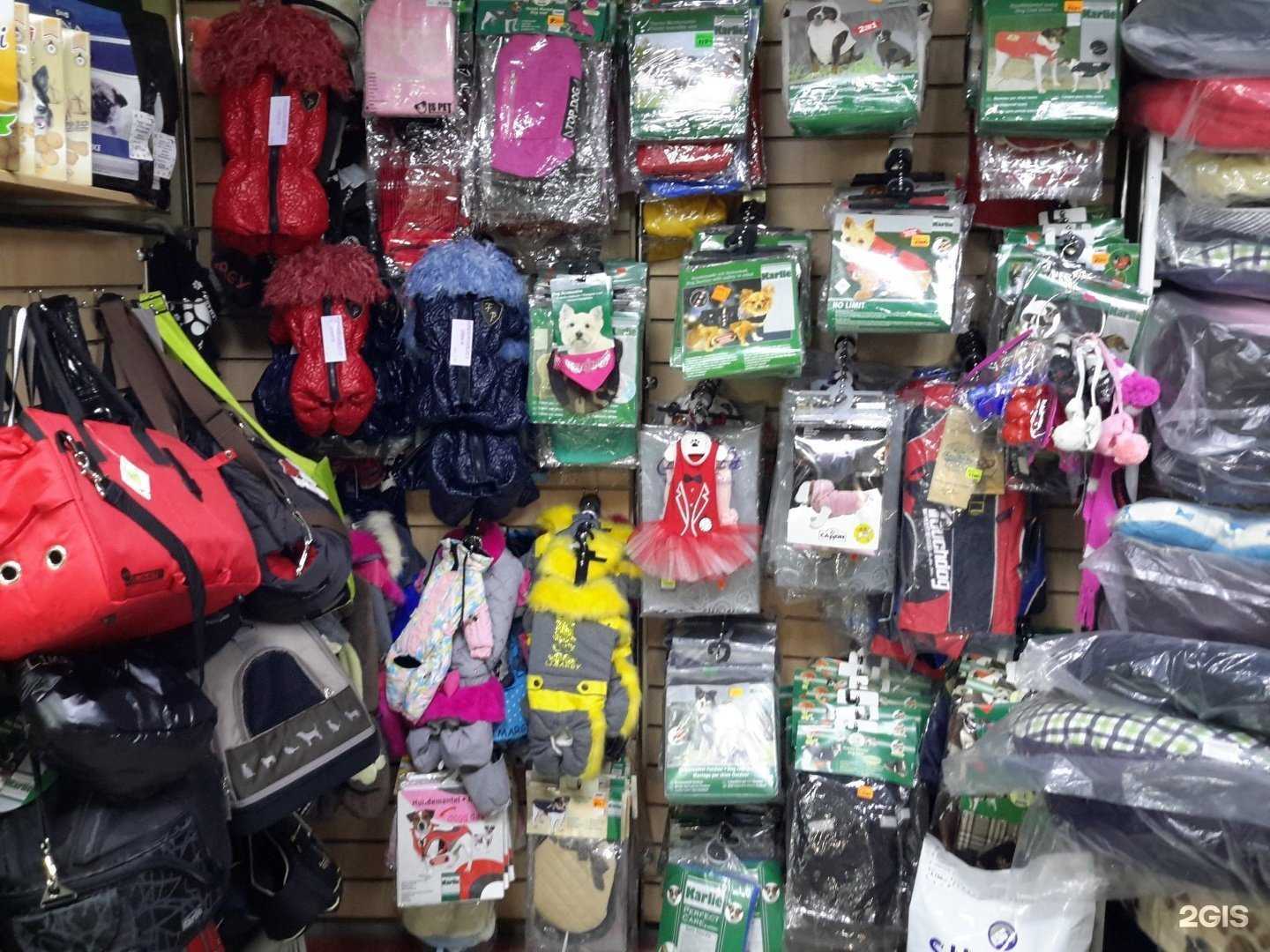 Отзывы на компанию Модные лапы в Перми c фото